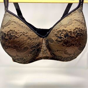 Cacique Molded Cup Lace Bra 40H